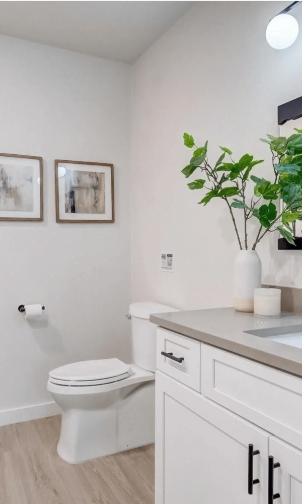 Screen Shot 2025-05-18 at 6.27.04 PM (1)